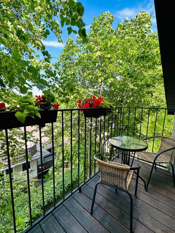Liepu Apartamentai Palanga Exteriér fotografie